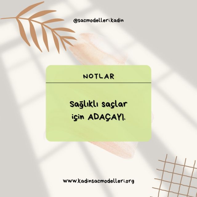 Adaçayının faydalarını say say bitmemekle birlikte cilt ve saç için de çok güzel faydaları var.

• Saçları beslediği için hızlı uzamasını sağlar ve yeni büyüyen saçların uzamasını destekler.

• Sert telli saçları yumuşatır.

• Saçın erken beyazlamasını engeller.

• Doğal bir renk açıcı görevi görür.

#health #womanstyle #haircare #haircaretips #ayurvedic